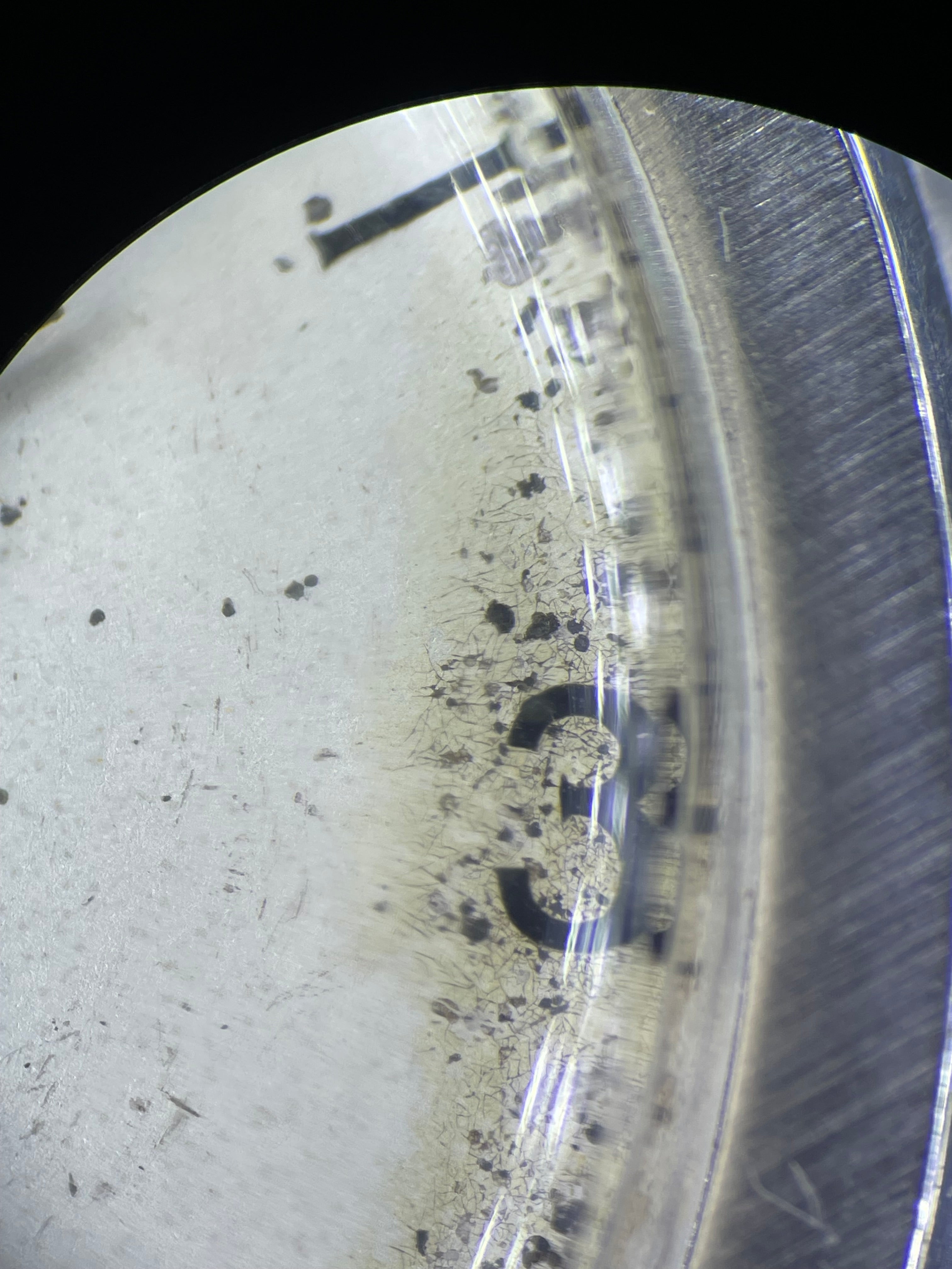 Zenith Coin-Edge Case